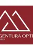 Agentura Optima